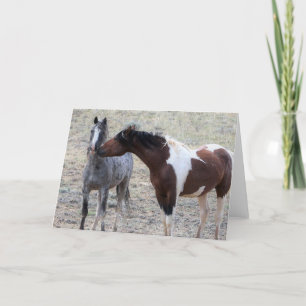 Tarjeta Mustangs salvajes de Occidente