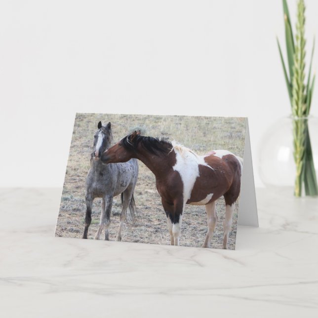 Tarjeta Mustangs salvajes de Occidente (Anverso)