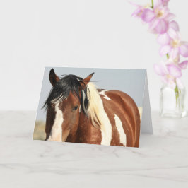 Tarjeta Mustangs salvajes de Occidente