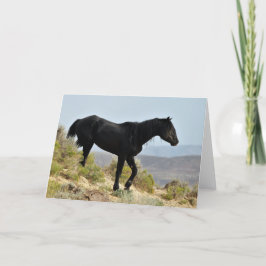 Tarjeta Mustangs salvajes de Occidente