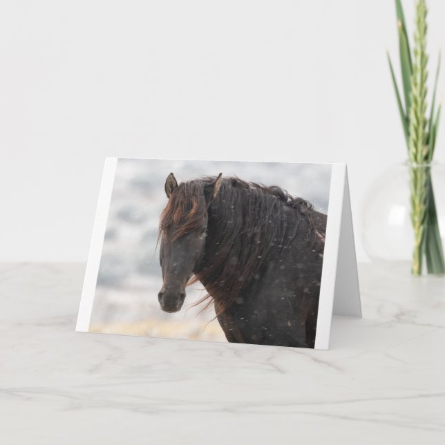 Tarjeta Mustangs salvajes en la carta de la nieve (Anverso)