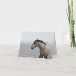 Tarjeta Mustangs salvajes en la carta de la nieve