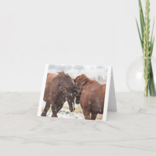 Tarjeta Mustangs salvajes en la carta de la nieve