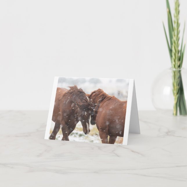 Tarjeta Mustangs salvajes en la carta de la nieve (Anverso)