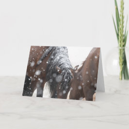 Tarjeta Mustangs salvajes en la carta de la nieve