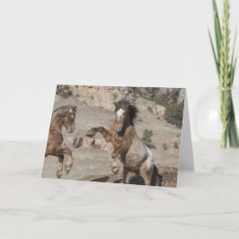 Tarjeta Mustangs Sparring: Gala al saludo de la libertad