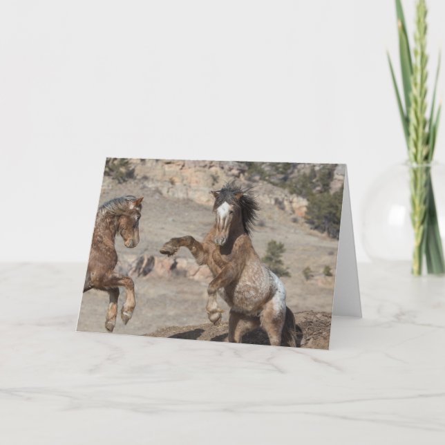 Tarjeta Mustangs Sparring: Gala al saludo de la libertad (Anverso)