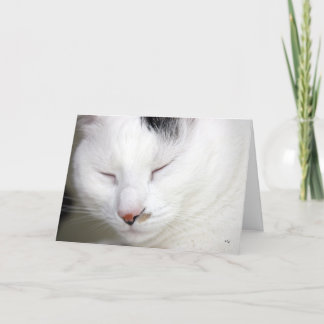 Tarjeta Muy 2, consiguen bien pronto