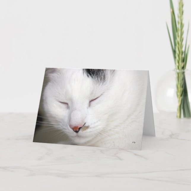 Tarjeta Muy 2, consiguen bien pronto (Anverso)