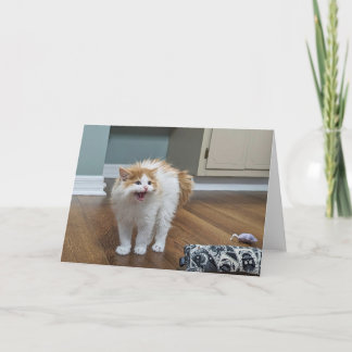 Tarjeta "Muy asustado" - Dewey está todo inundado