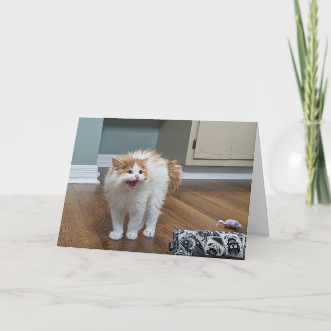 Tarjeta "Muy asustado" - Dewey está todo inundado (Anverso)