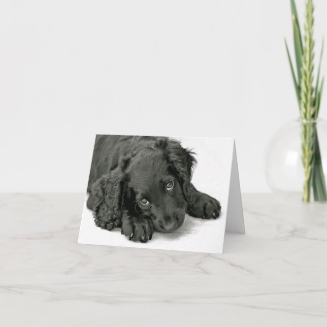 Tarjeta Muy lindo cachorro (Anverso)