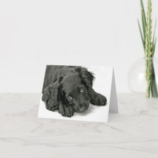 Tarjeta Muy lindo cachorro