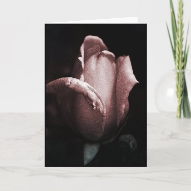 Tarjeta nacimiento (Anverso)