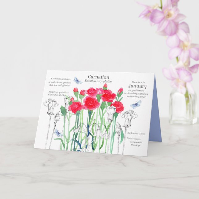 Tarjeta Nacimiento de enero Flores de clavel rosado rojo (Orquídea)