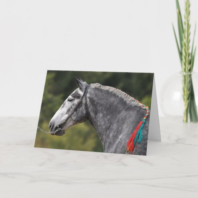 Tarjeta Nacimiento del caballo percheron gris manzana (Anverso)