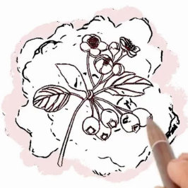 Tarjeta Nacimiento Flor Hawthorn Red Pink Pensar en ti