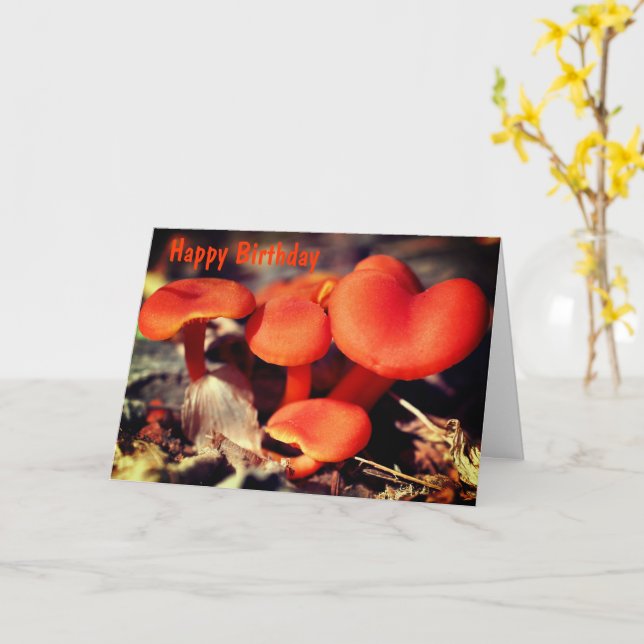 Tarjeta Nacimiento natural de los hongos rojos naranja (flor amarilla)
