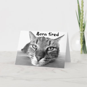 Tarjeta Nació un gatito cansado