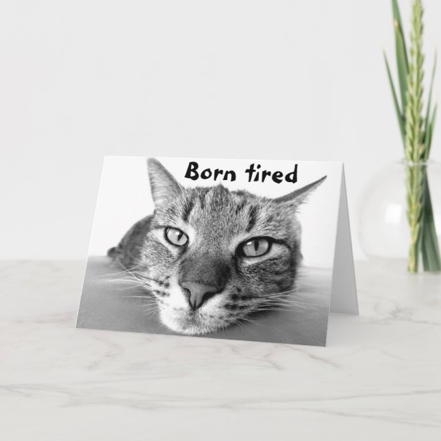 Tarjeta Nació un gatito cansado (Anverso)