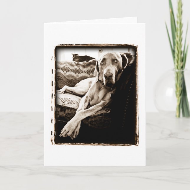 Tarjeta Nación de Weimaraner: La "silla de Ballou " (Anverso)