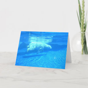 Tarjeta Nadada polar