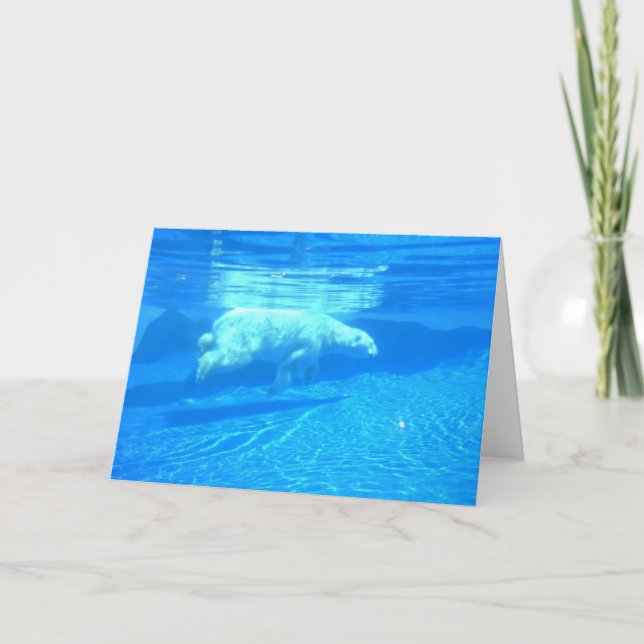 Tarjeta Nadada polar (Anverso)