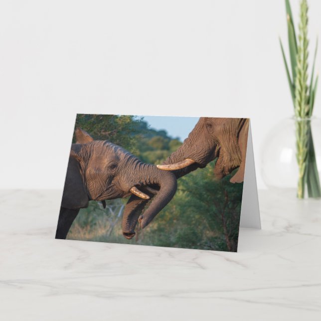 Tarjeta Naipe de los elefantes (Anverso)