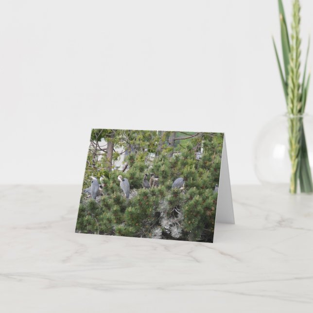 Tarjeta Nanidación de grandes garras azules (Anverso)