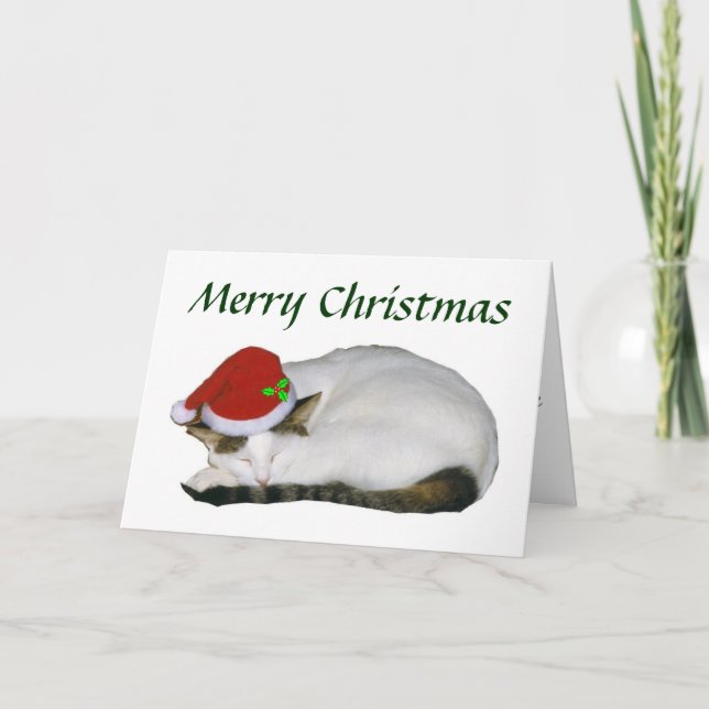 Tarjeta Nap Cat para navidades (Anverso)