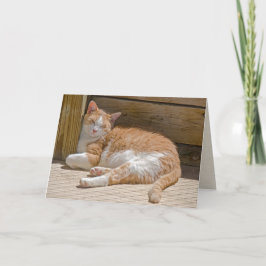 Tarjeta Nap de Cat de Tabby por Día de Nombre