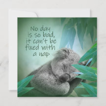 Tarjeta Nap de Koala