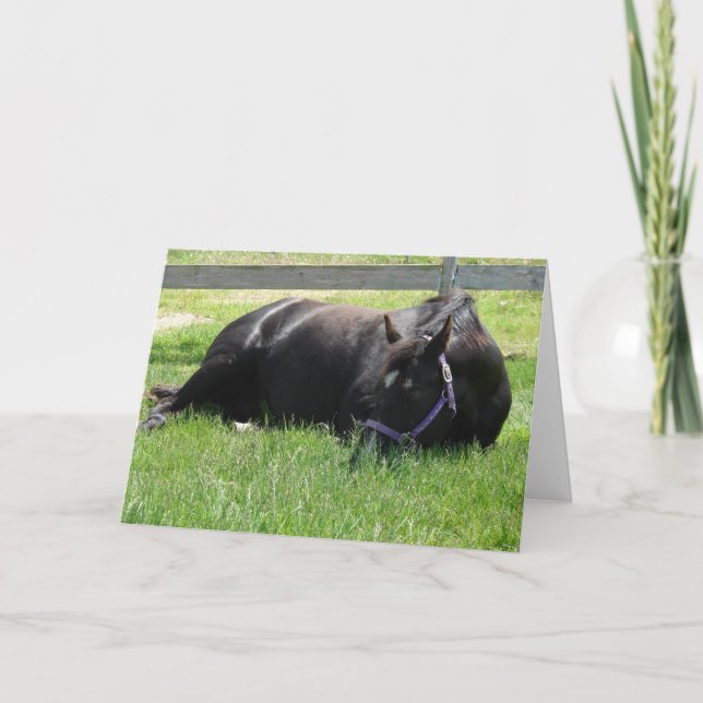 Tarjeta Nap de la tarde (Anverso)