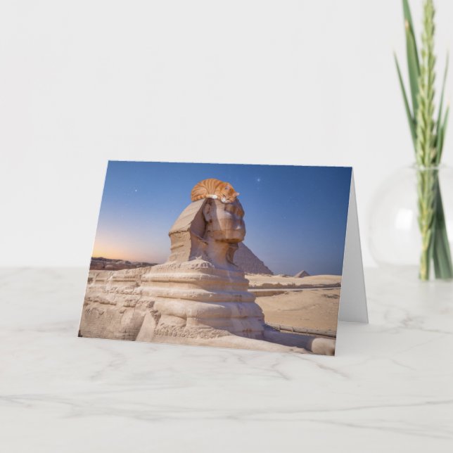 Tarjeta Nap Sphinx Cat (Anverso)