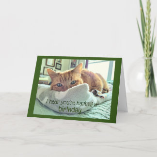 Tarjeta Napas de gatos de cumpleaños