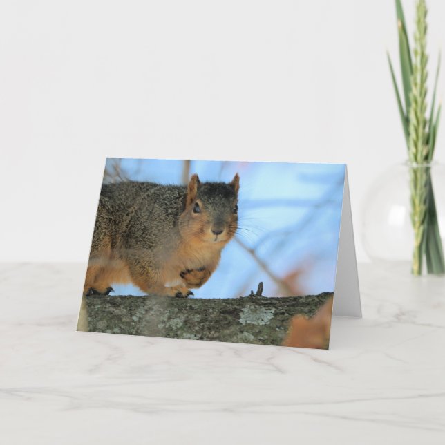 Tarjeta Napoleón (Anverso)