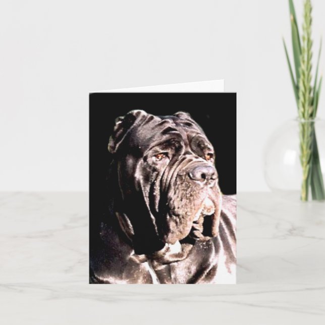 Tarjeta Napolitano notecer mastiff (Anverso)