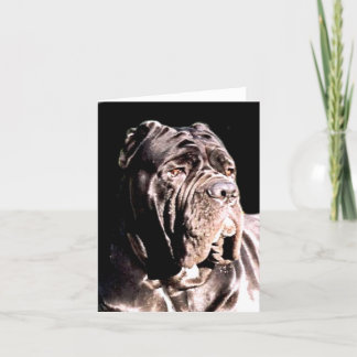 Tarjeta Napolitano notecer mastiff
