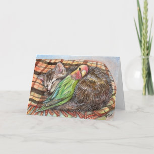 Tarjeta Napping Buddy