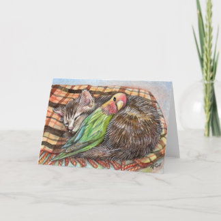 Tarjeta Napping Buddy