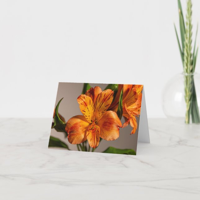 Tarjeta Naranja Alstroemeria Lily (Anverso)