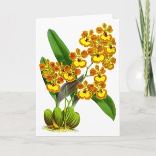 Tarjeta Naranja amarillo vintage Flor orquídea