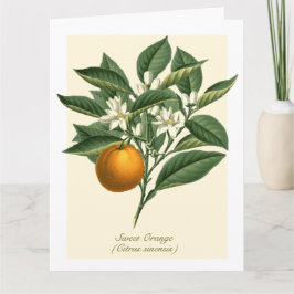 Tarjeta Naranja botánico Vintage Hojas de flores
