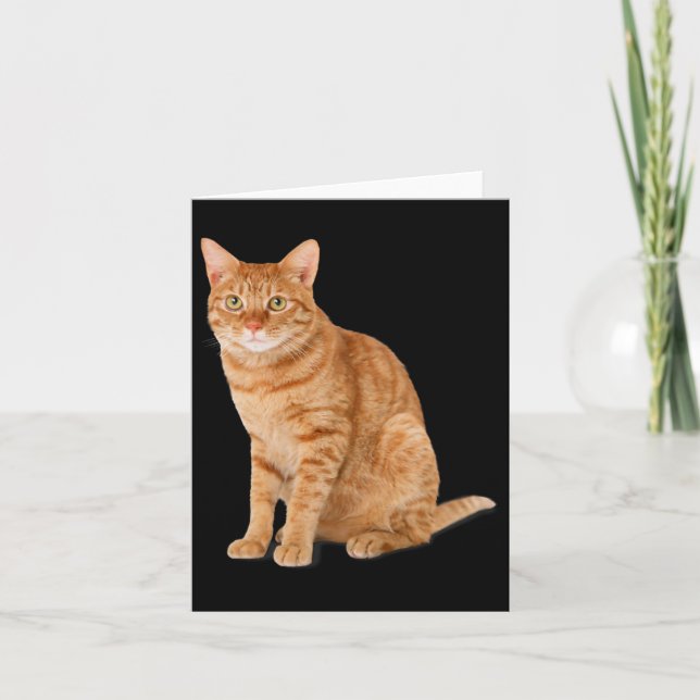 Tarjeta Naranja Cat Tab Funny Cat Parody Cat Lover Gift Ki (Anverso)