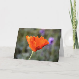 Tarjeta Naranja chiffon amapola y pared