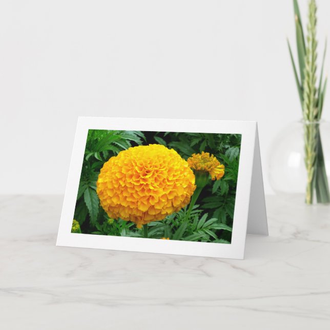 Tarjeta Naranja Chrysanthemum (Anverso)