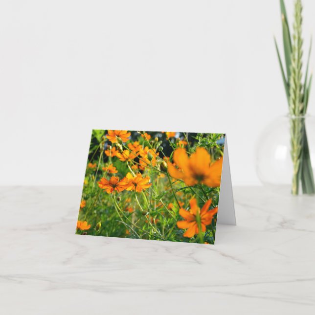Tarjeta Naranja Cosmos Flowers (Anverso)