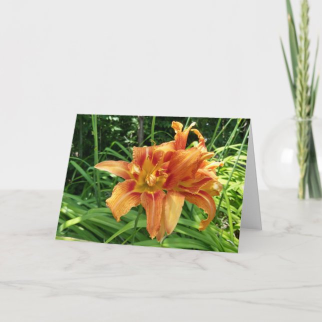 Tarjeta Naranja Daylily Flores horizontales (Anverso)