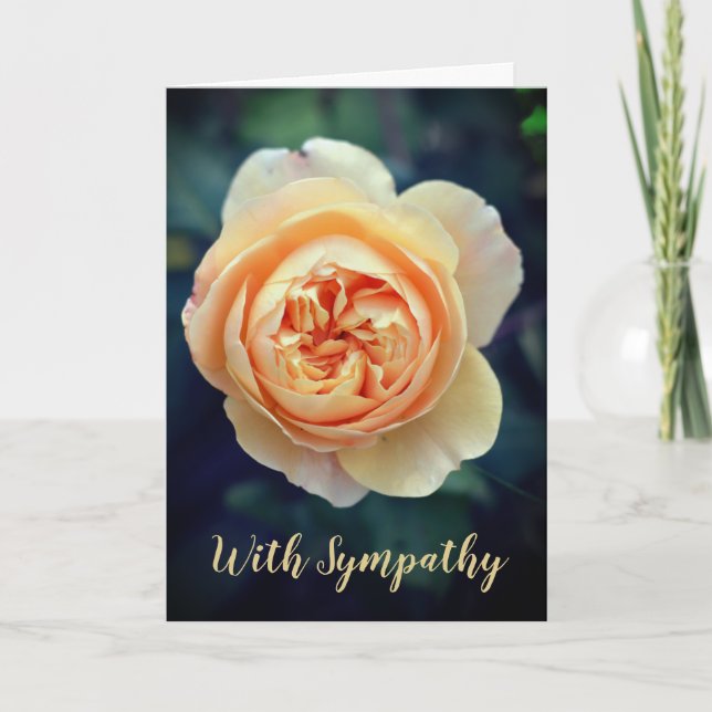 Tarjeta Naranja De Peachy Rosa De Jardín Flor Con Simpatía (Anverso)