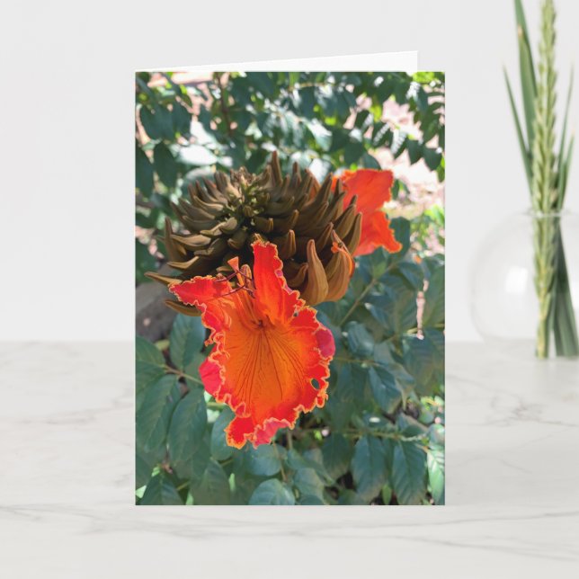 Tarjeta Naranja Floral, Hawaii Blank (Anverso)